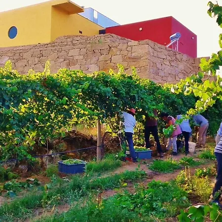 Casa Da Caneleira Camélias De Basto Сasa de vacaciones Celorico De Basto