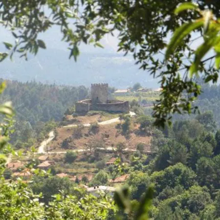 Сasa de vacaciones Casa Da Caneleira Camélias De Basto *