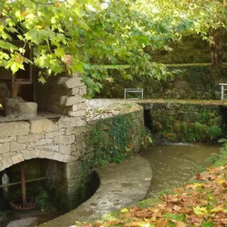 Casa Da Caneleira Camelias De Basto