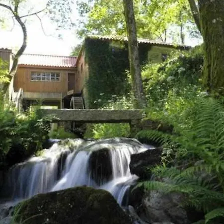 Casa Da Caneleira Camélias De Basto *