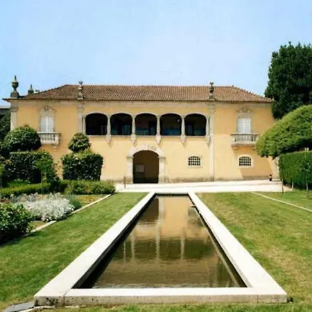 Casa Da Caneleira Camelias De Basto Casa de Férias