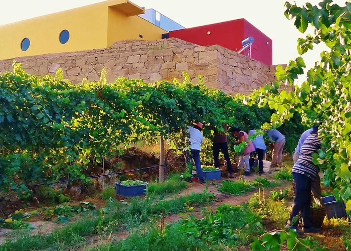 Casa Da Caneleira בית נופש סלוריקו דה באשטו